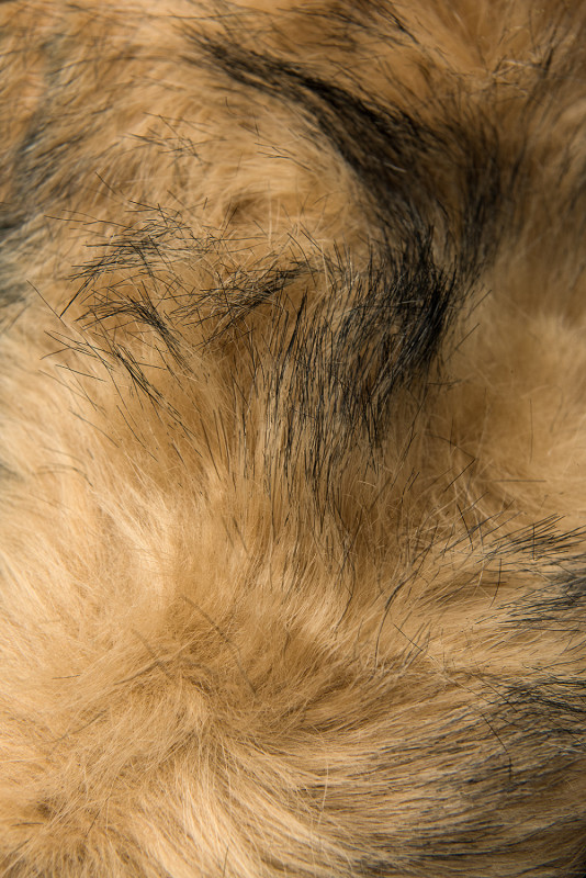 Geacă verde închis pentru toamnă/iarnă